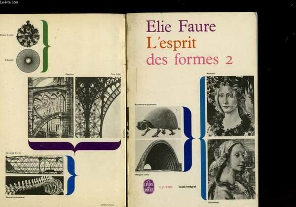 L'ESPRIT DES FORMES TOME 2