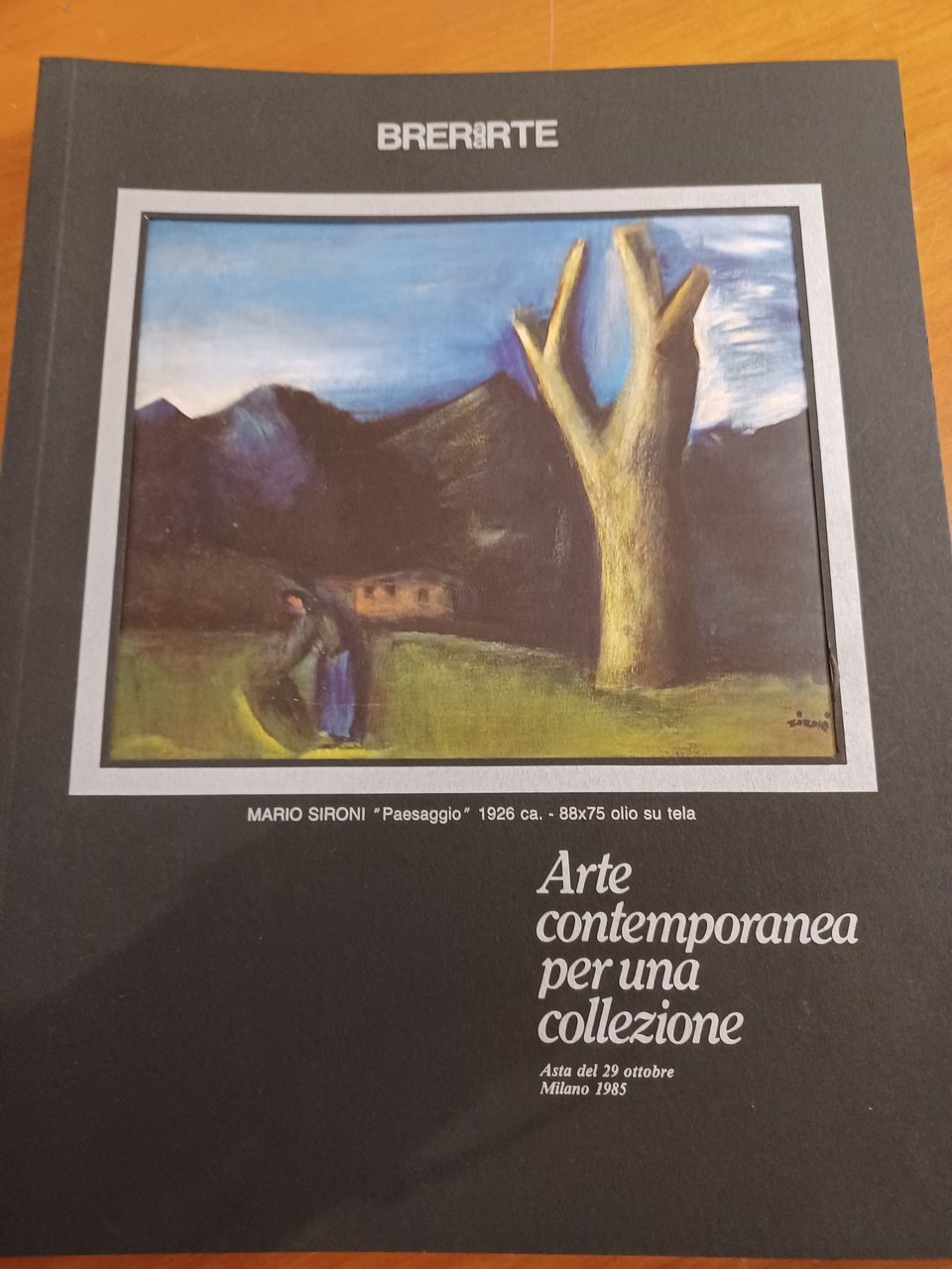 Arte contemporanea per una collezione n66