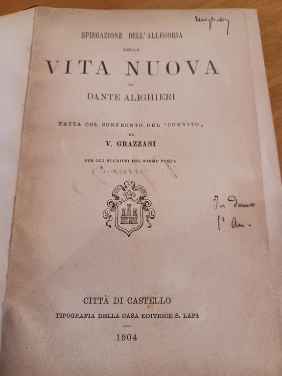 Spiegazione all'allegoria della Vita Nova