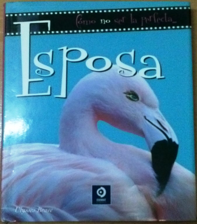 COMO NO SER LA ESPOSA PERFECTA