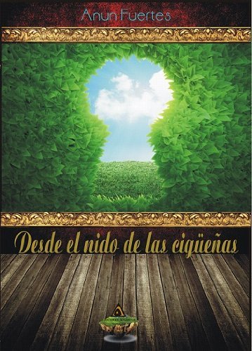 DESDE EL NIDO DE LAS CIGUEÑAS