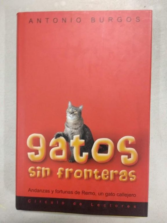 GATOS SIN FRONTERAS