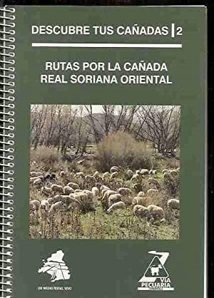 RUTAS POR LA CAÑADA REAL SORIANA ORIENTAL