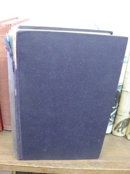 The Psychological Review; Volume XXIX, 1922