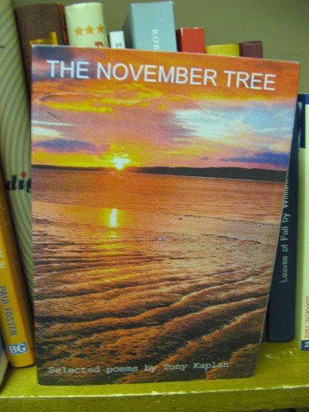 The November Tree: Selected Poems