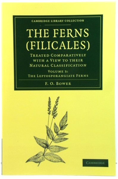 The Ferns (Filicales): Treated Comparatively with a View to their …