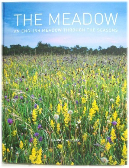 The Meadow: An English Meadow through the Seasons