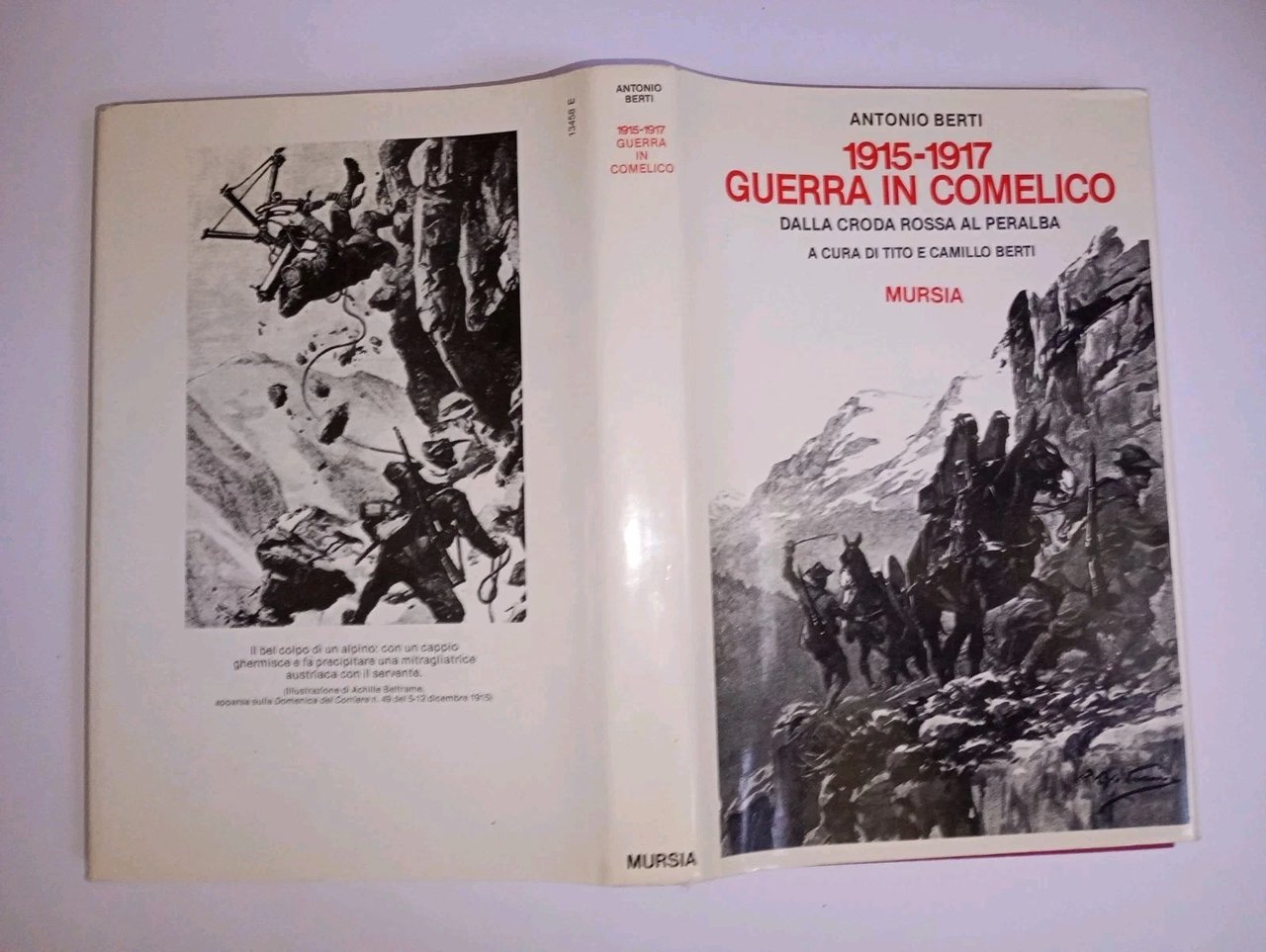 1915-1917 guerra in Comelico. dalla Croda rossa al Peralba