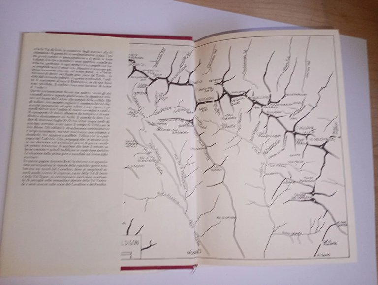 1915-1917 guerra in Comelico. dalla Croda rossa al Peralba