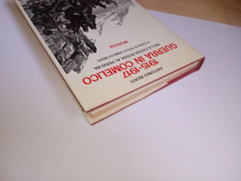 1915-1917 guerra in Comelico. dalla Croda rossa al Peralba