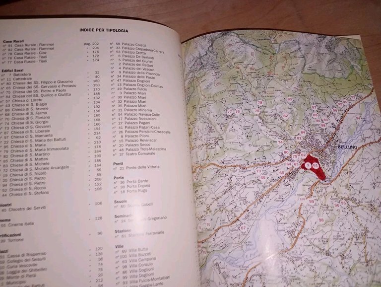 BELLUNO. 50 anni di Rotary