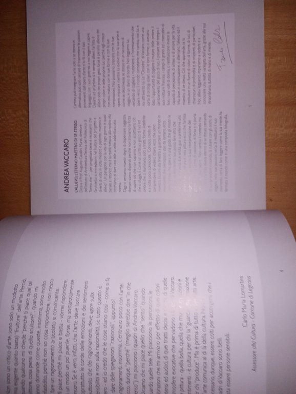 A. VACCARO. Luci ombre forme