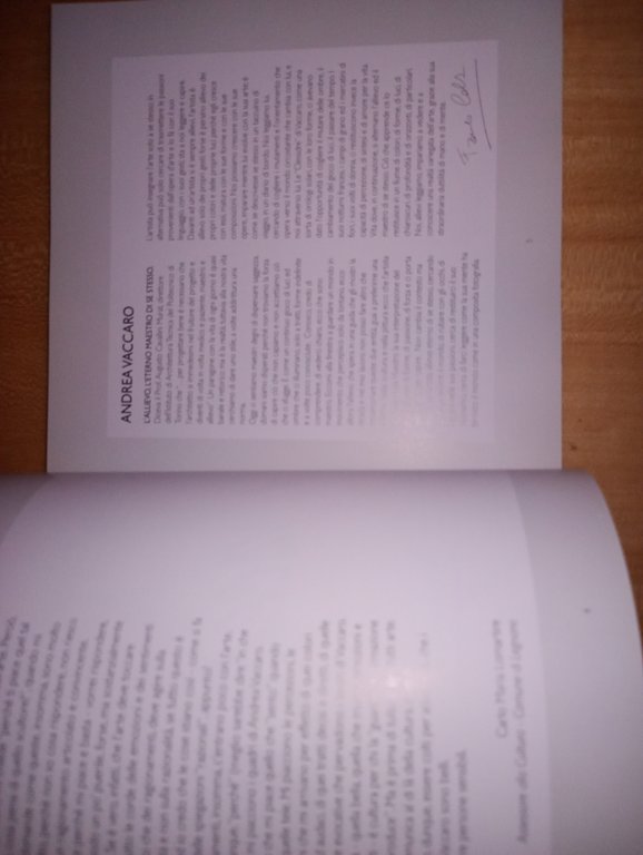 A. VACCARO. Luci ombre forme