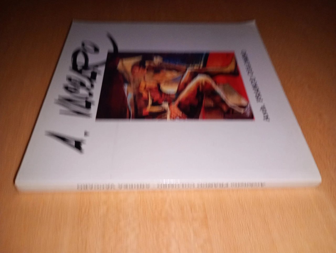 A. VACCARO. percorsi a colori dal 1949 al 1999