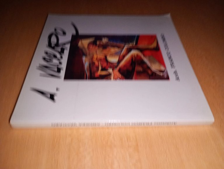 A. VACCARO. percorsi a colori dal 1949 al 1999 | Immagine Gallery 1