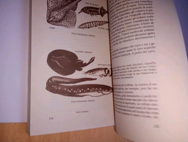 alla scoperta del pensiero animale | Immagine Gallery 3