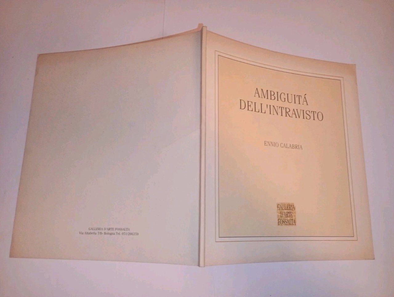 ambiguità dell'intravisto