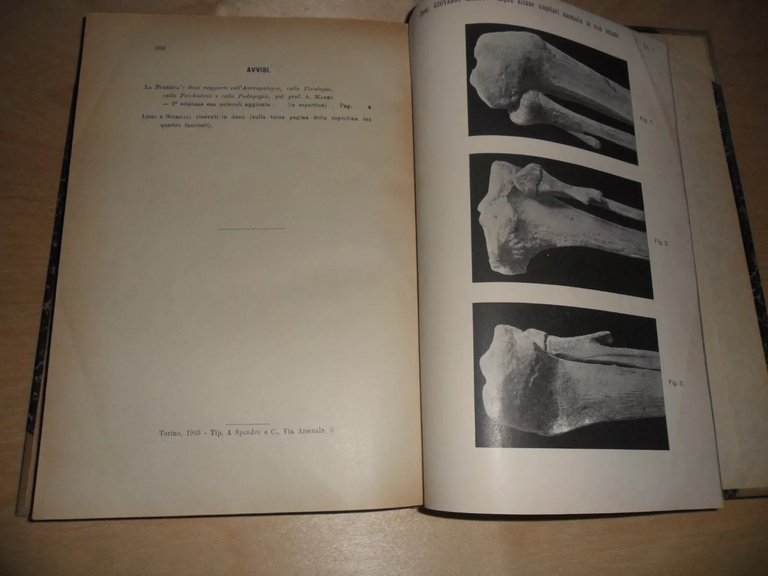 Annali di FRENIATRIA e scienze affini. vol XIII