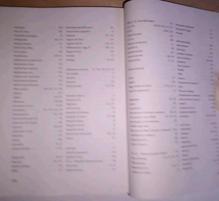 Archeologia come metodo. le fasi della ricerca