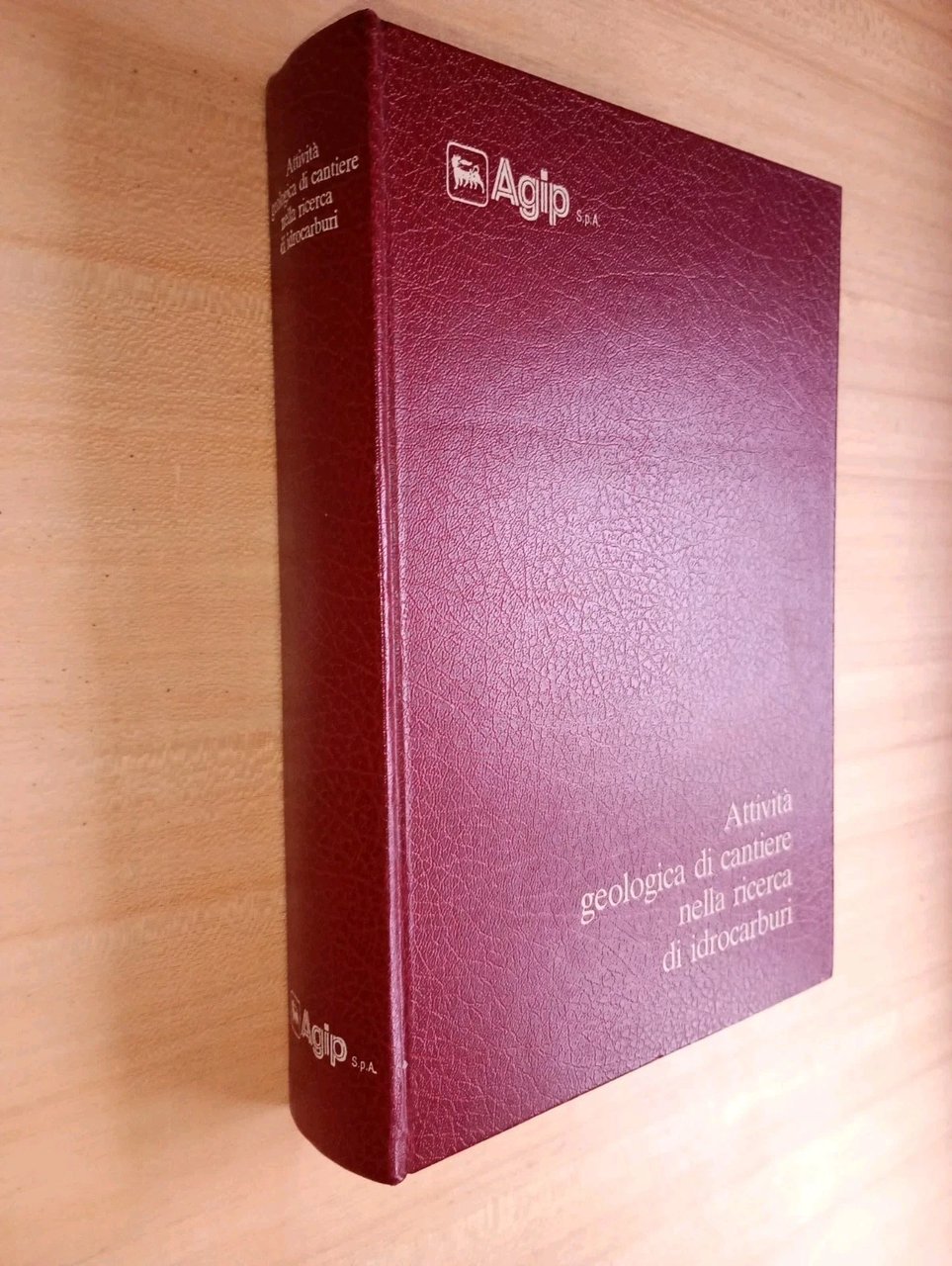 Attività geologica di cantiere nella ricerca di idrocarburi