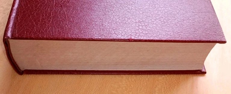 Attività geologica di cantiere nella ricerca di idrocarburi