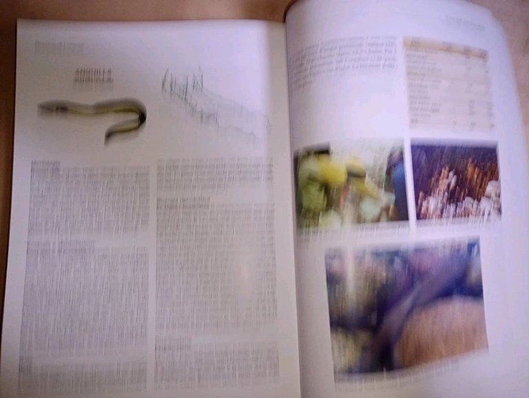 Carta provinciale delle vocazioni ittiche