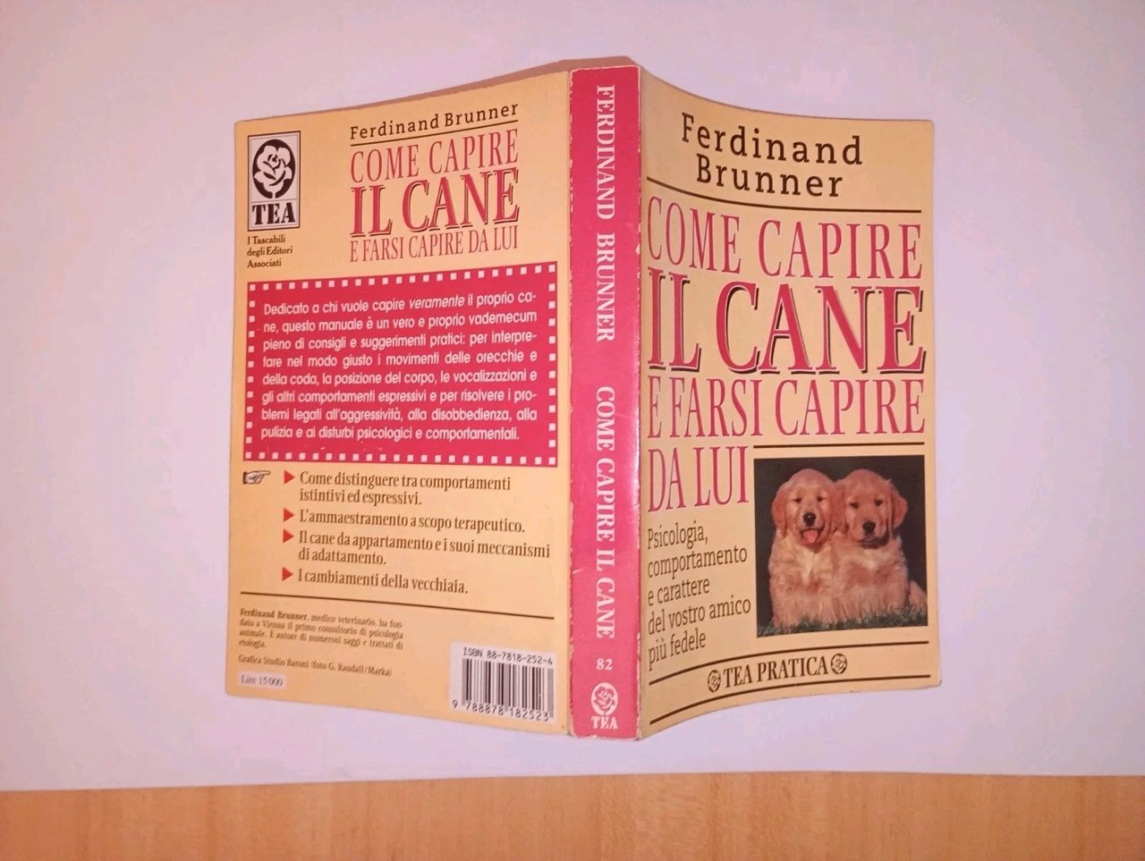 come capire il cane e farsi capire da lui