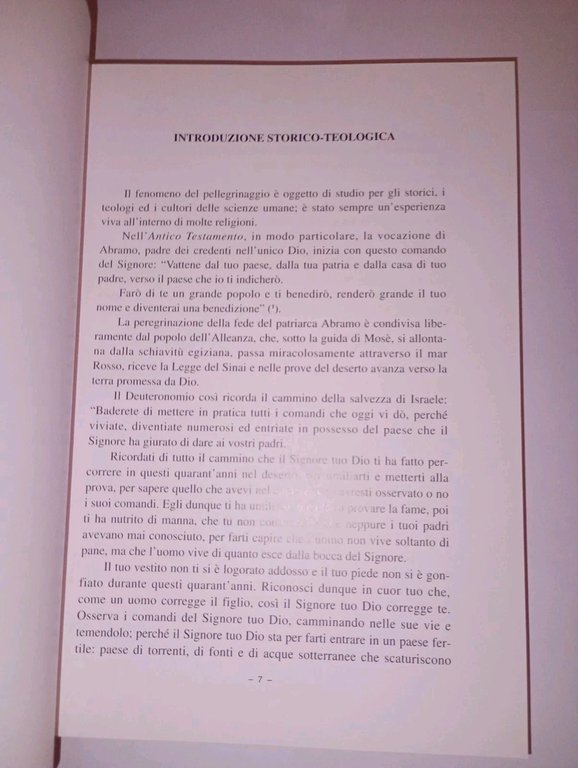 DOCUMENTI VERCELLESI COLLEGABILI AI TEMI DEL PELLEGRINAGGIO E DELLA PROCESSIONE