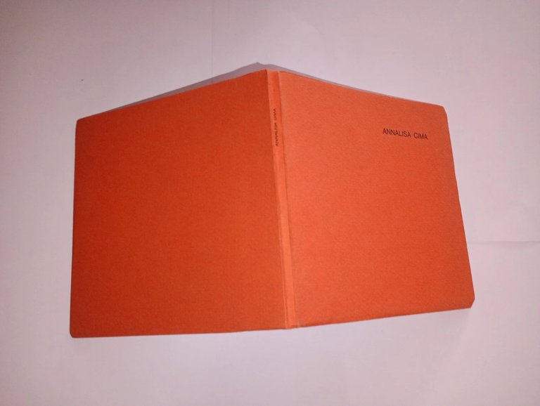 Dualismo e ambivalenza della pittura - 6 quadri, 3 disegni, …