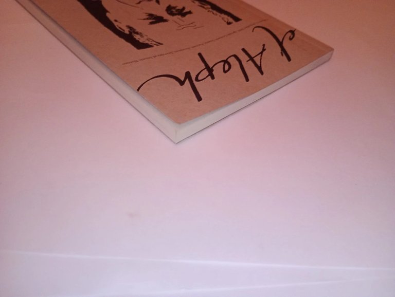 EL ALEPH n. 11 2009 - Sciascia, Moresco, racconri, recensioni | Immagine Gallery 5