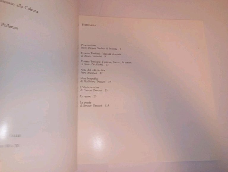 ERNESTO TRECCANI opere scelte. "l'identità ritrovata" | Immagine Gallery 2