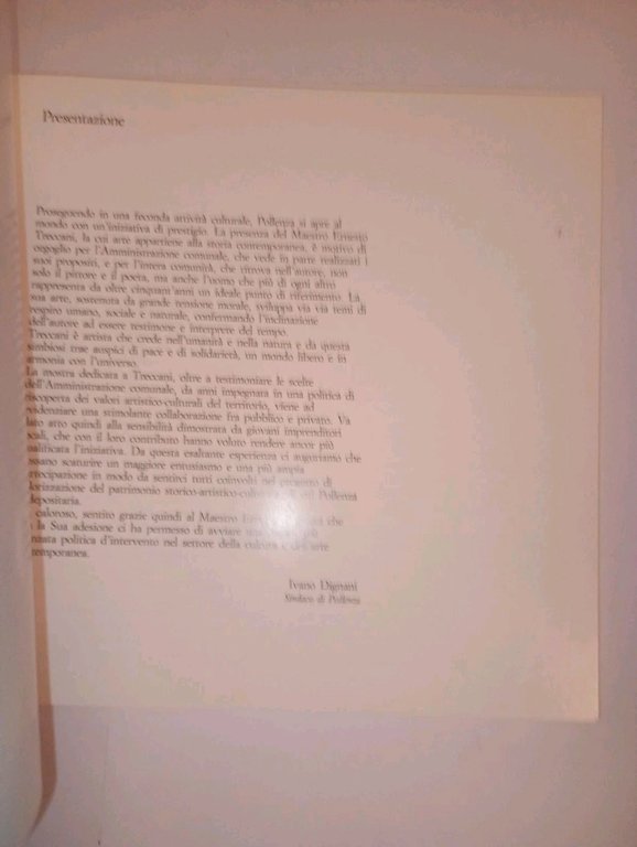 ERNESTO TRECCANI opere scelte. "l'identità ritrovata" | Immagine Gallery 3