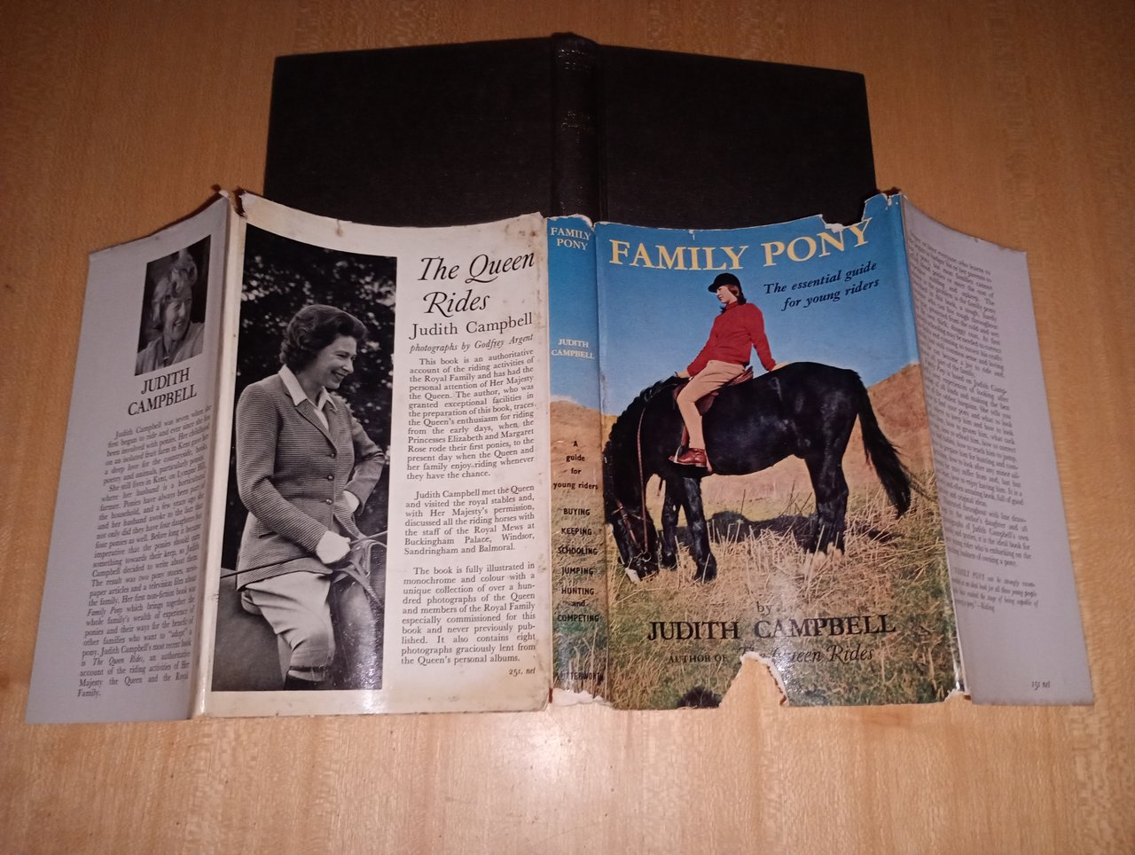 Family pony. the essential guide for young riders | Immagine principale