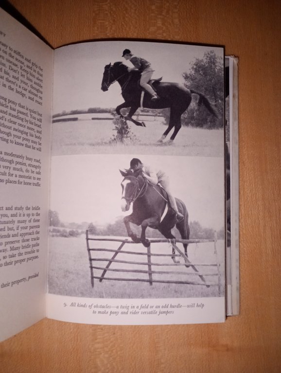 Family pony. the essential guide for young riders | Immagine Gallery 4