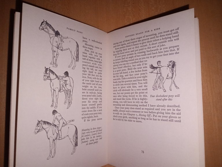 Family pony. the essential guide for young riders | Immagine Gallery 3