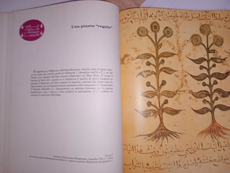 Farmacopea arba medievale. codice Ayasofia 3703