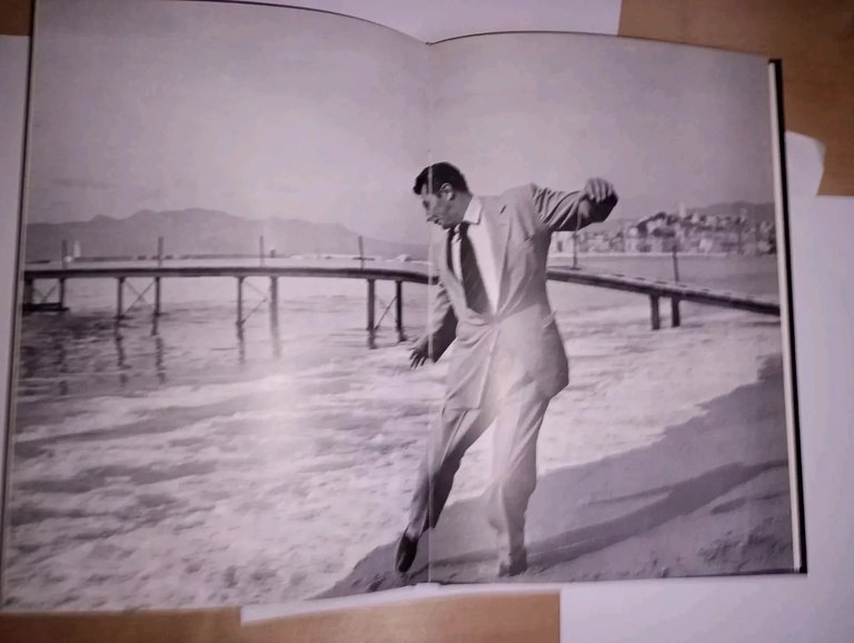 festival de Cannes. 30 ans de photographie