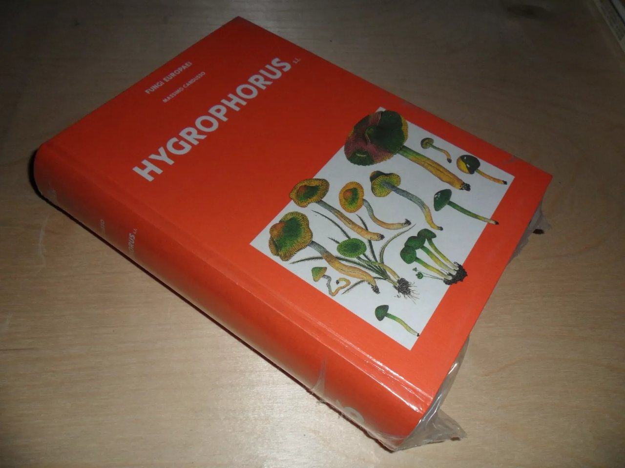 Fungi Europaei. HYGROPHORUS