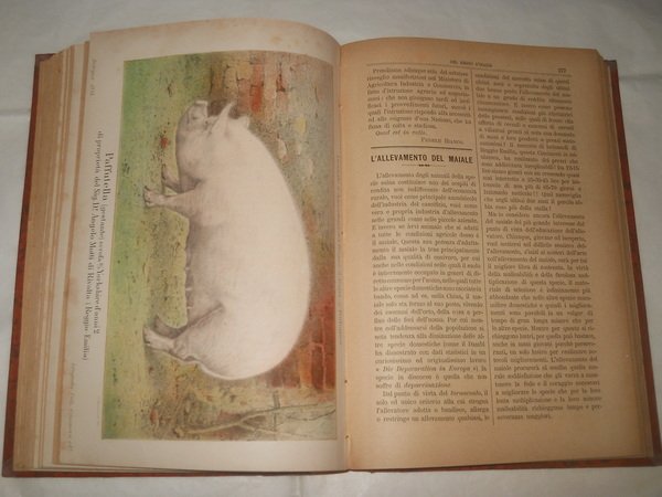 Giornale di Agricoltura Industria Commercio del regno d'Italia - 1888