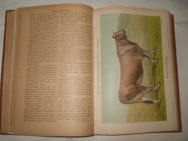 Giornale di Agricoltura Industria Commercio del regno d'Italia - 1888