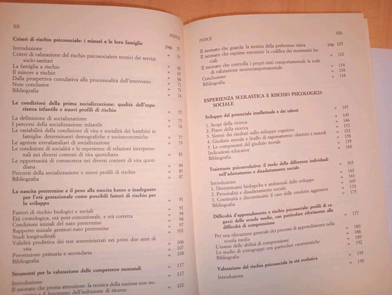 gli indicatori psicologici e sociali del rischio. modelli teorici e … | Immagine Gallery 5