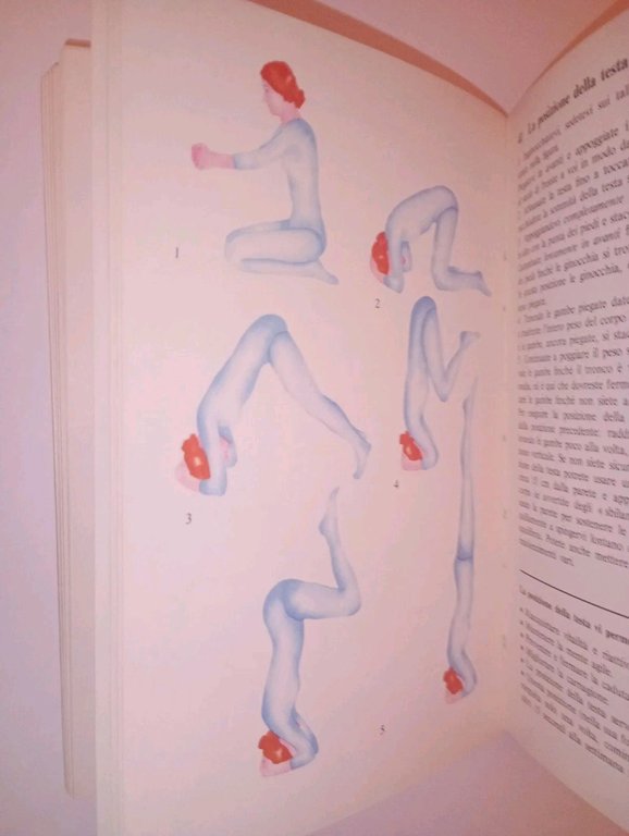 GUIDA ALLO YOGA PRATICO