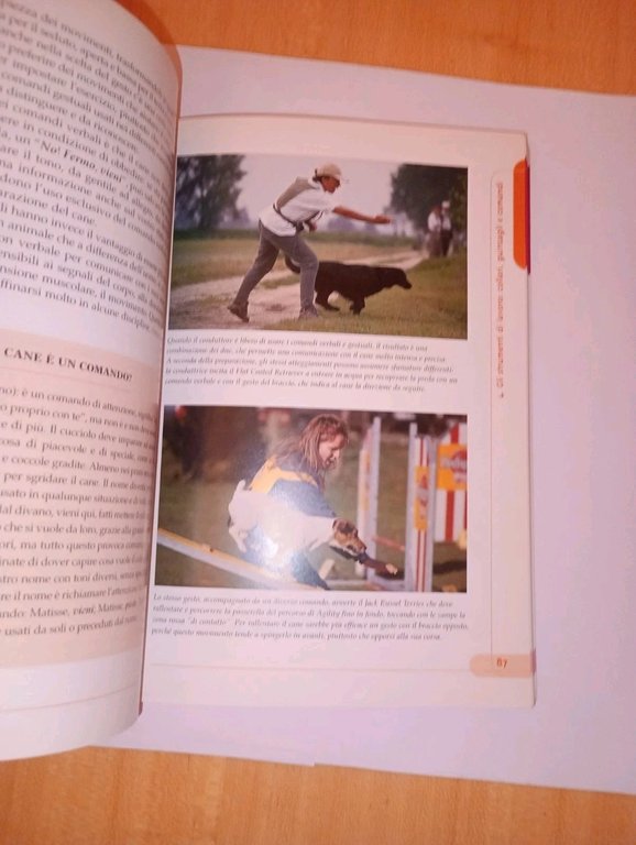Guida pratica all'educazione gentile del cane