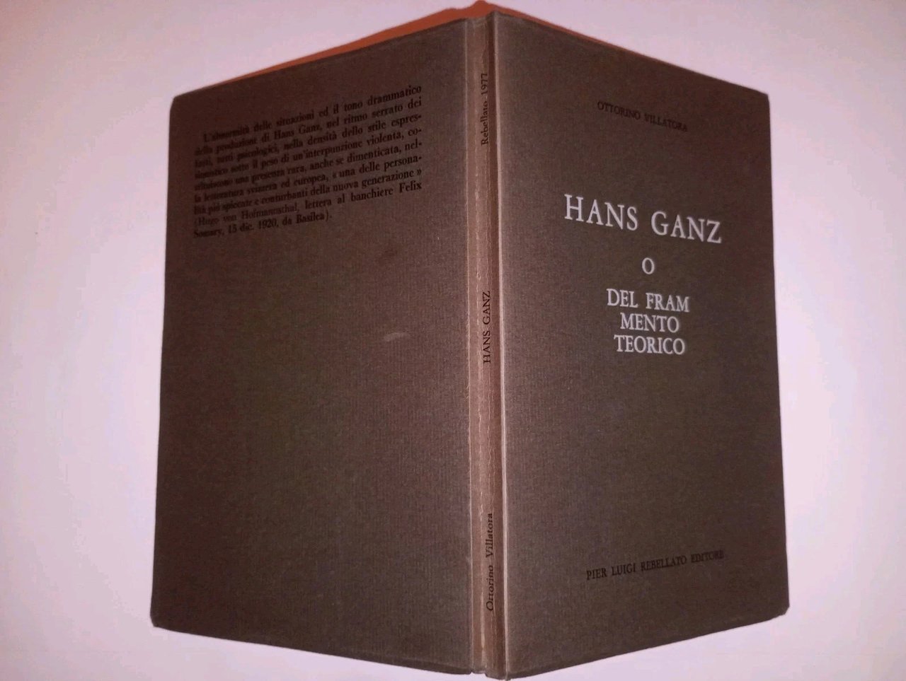 HANS GANZ o del frammento teorico