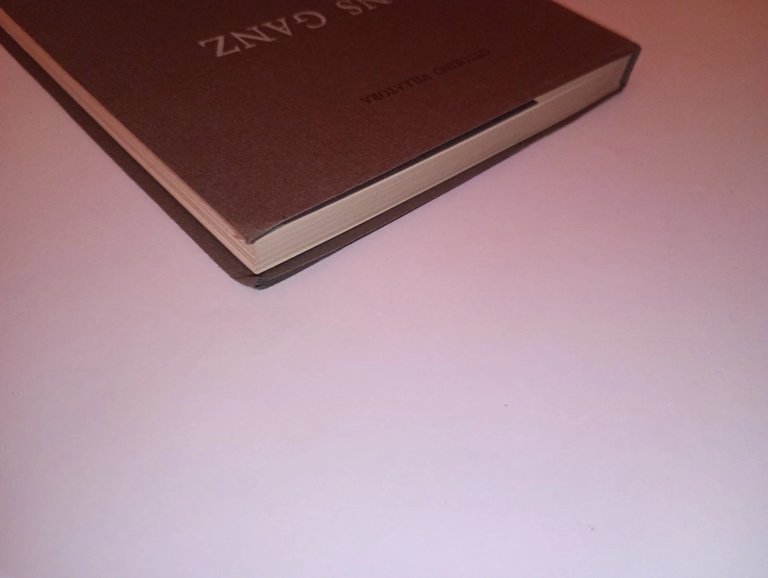 HANS GANZ o del frammento teorico