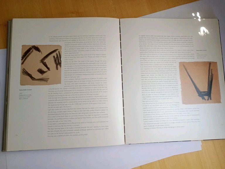 HANS HARTUNG. in principio era il fulmine