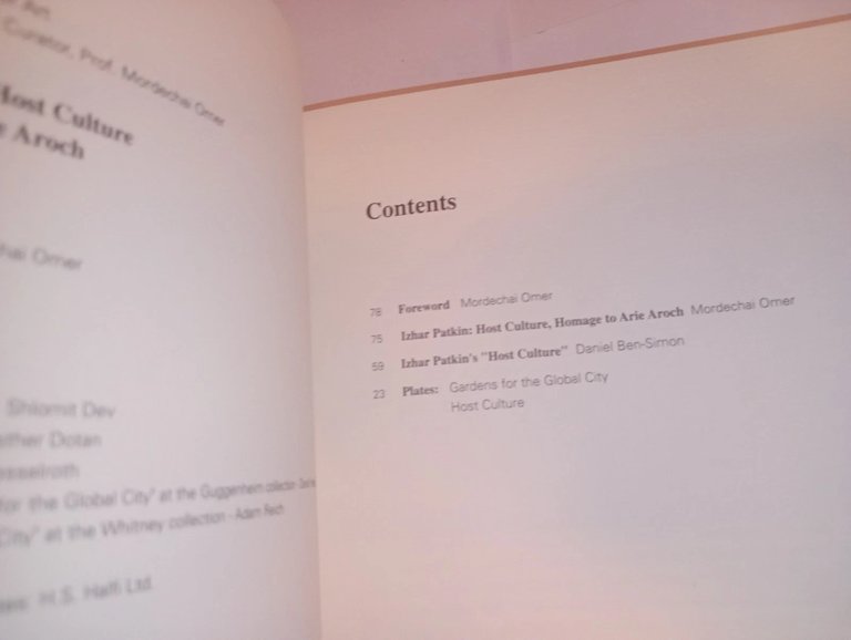 Homage to Arie Aroch