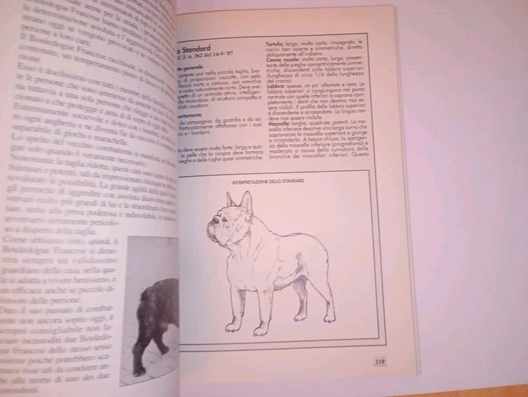 i cani da combattimento