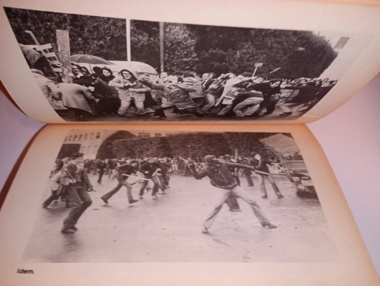 I non garantiti. il movimento del '77 nelle università. cinque …