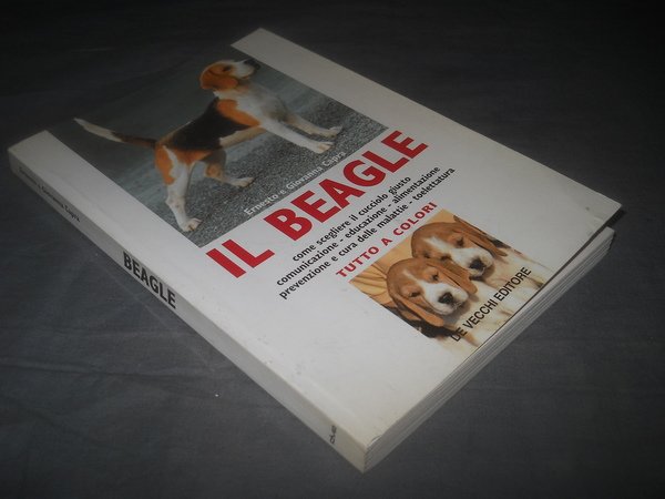 il beagle